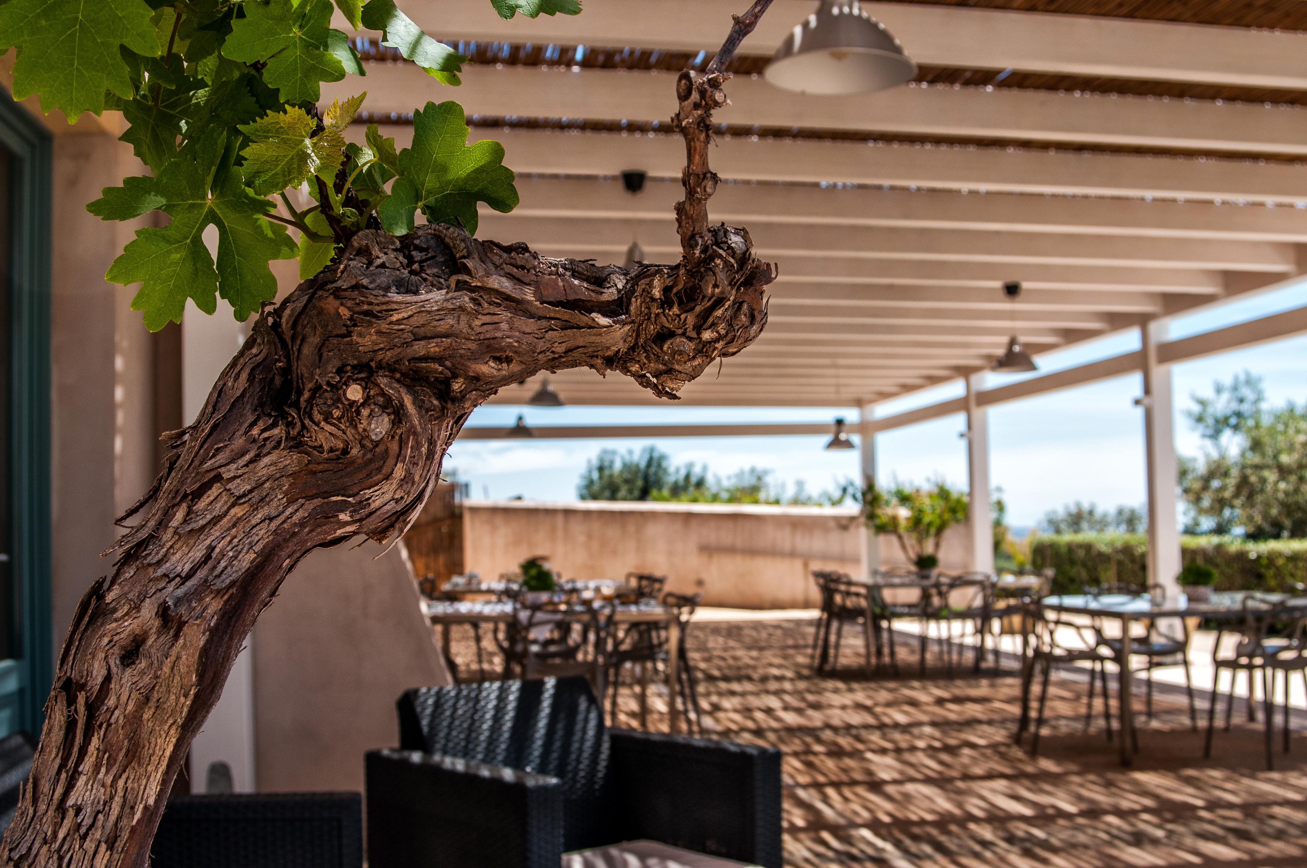 Hotel Relais Casina Miregia Menfi Exteriér fotografie